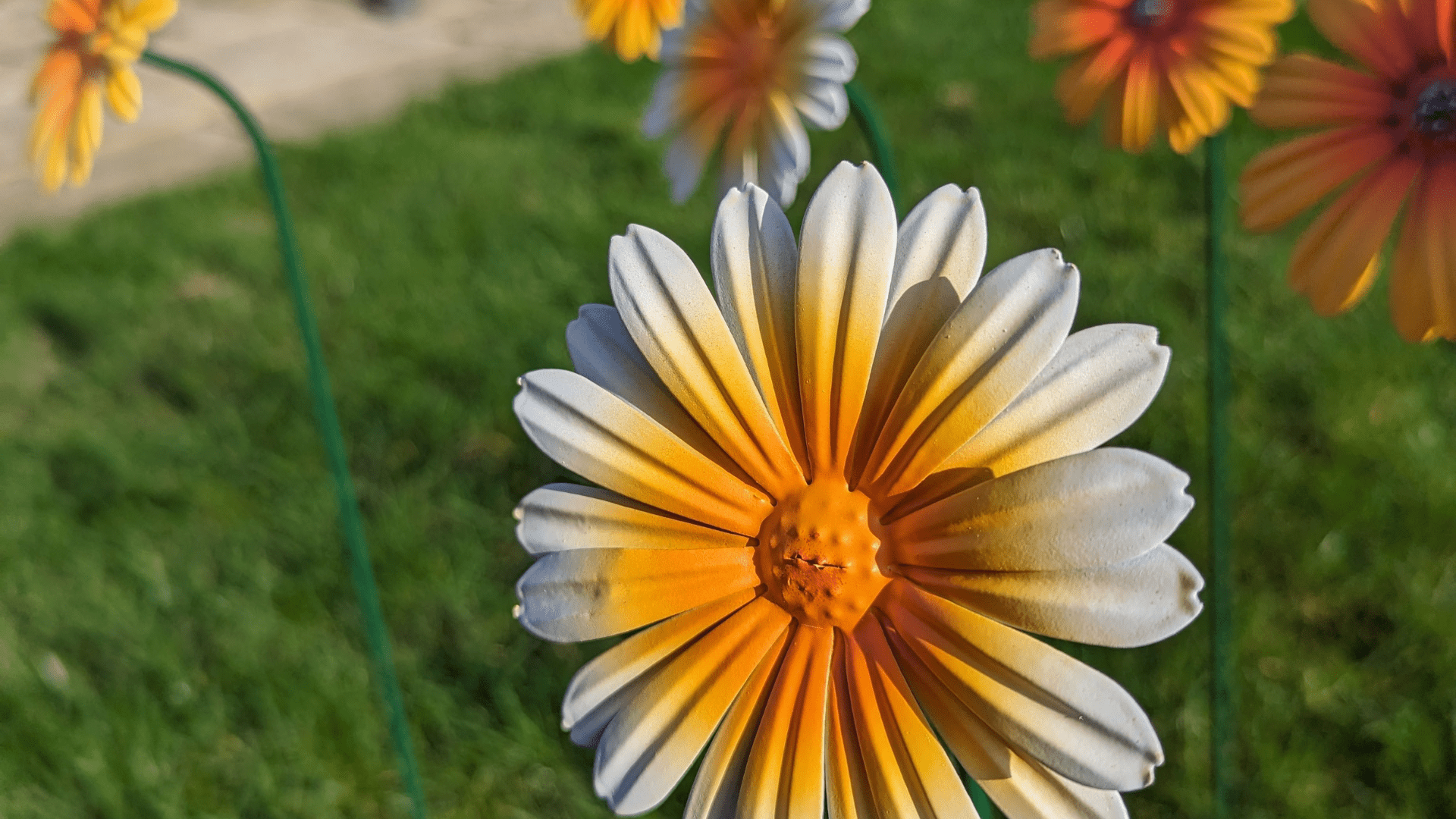 Bloom in June